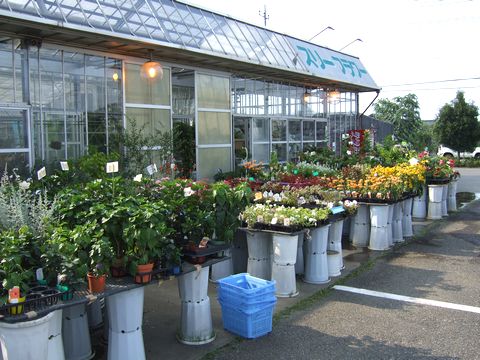 スリーフラワー販売園芸店の外観